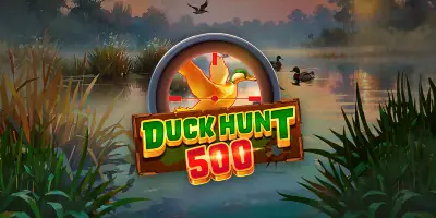 Duck Hunt 500