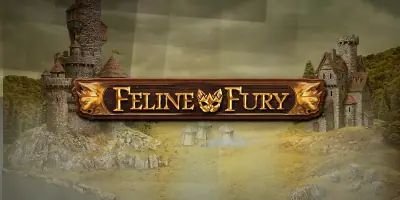 Feline Fury