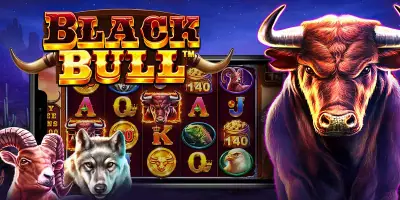 Black Bull