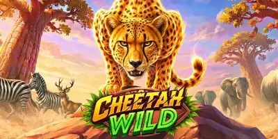 Cheetah Wild