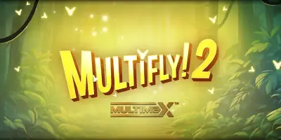 MultiFly 2