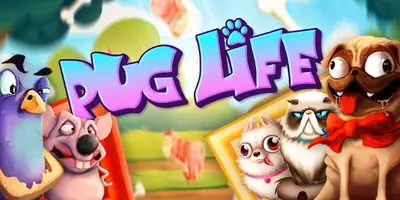 Pug Life