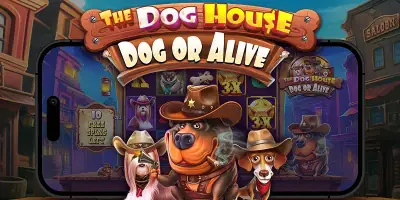 The Dog House Dog or Alive