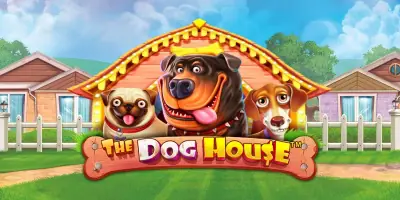 The Dog House